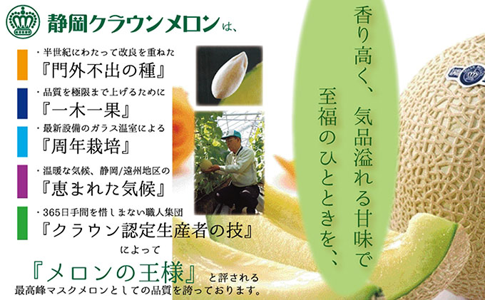【12ヶ月定期便】クラウンメロン（山等級）1玉入 