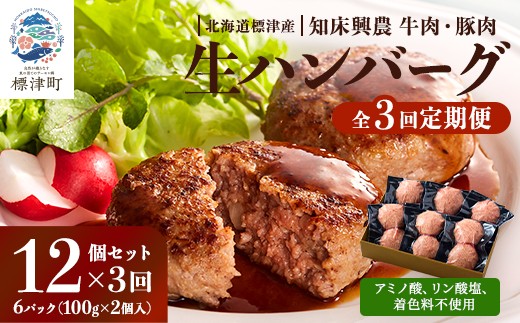 
                  ＜全3回 定期便 ＞ 北海道産 生 ハンバーグ 12個 (6パック) セット ( 1パック 100g ×2 ) 国産 無添加 おすすめ 保存料不使用 牛肉 豚肉 国産ハンバーグ 冷凍ハンバーグ 合いびき 合い挽き あいびき 小分け 人気 便利 冷凍 はんばーぐ ぎゅうにく 肉 ひき肉 hannba-gu お弁当 おかず 惣菜 お惣菜 家庭用 子ども 子供 こども 北海道 標津町
                