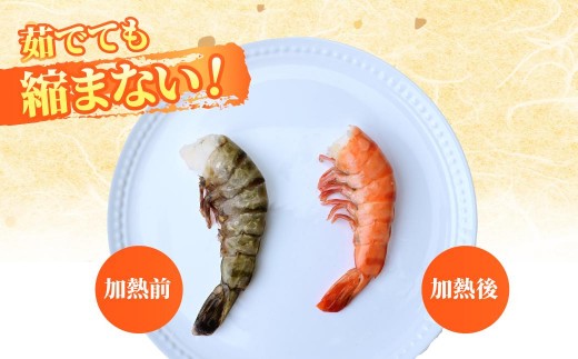 海老 エビ えび ブラックタイガー ぶらっくたいがー
