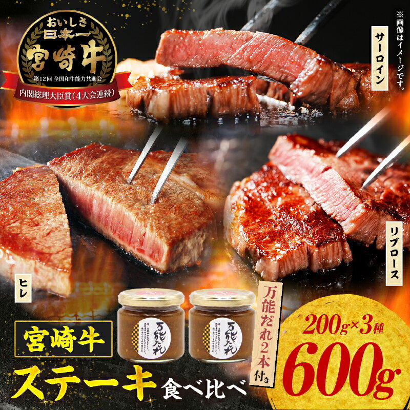 【ふるさと納税】宮崎牛 ステーキ 食べ比べセット 600g＆万能だれ140g 牛肉 肉 お肉 精肉 リブロース サーロイン ヒレ タレ かけダレ 和えダレ 国産牛 黒毛和牛 和牛 ブランド牛 焼肉 BBQ アウトドア キャンプ グランピング 調味料 お取り寄せ 宮崎県 高千穂町 送料無料