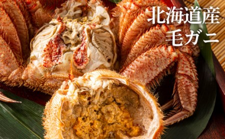 特特大サイズ！冷凍毛がに約1kg×1尾【斉藤水産】 AM150