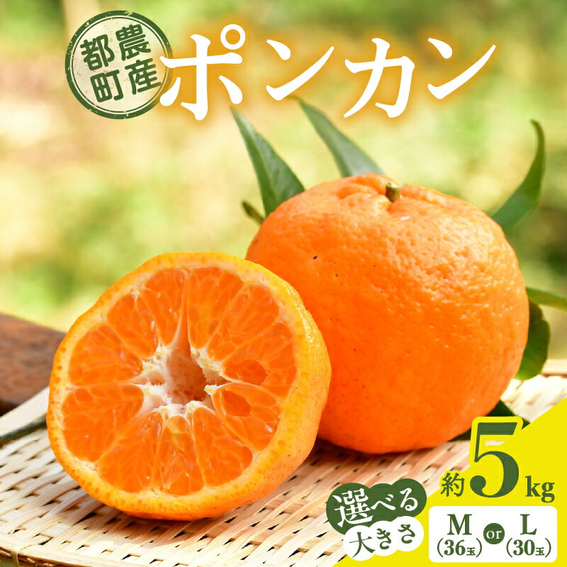 【ふるさと納税】【選べる内容量】 先行予約 ≪期間限定≫ 都農町産 ポンカン 約 5kg （MサイズorLサイズ） フルーツ 果物 くだもの 柑橘 国産 食品 みかん 蜜柑 みかんジュース おやつ ご褒美 お祝い お返し ギフト 贈り物 おすそ分け おすすめ 産地直送 宮崎県 送料無料