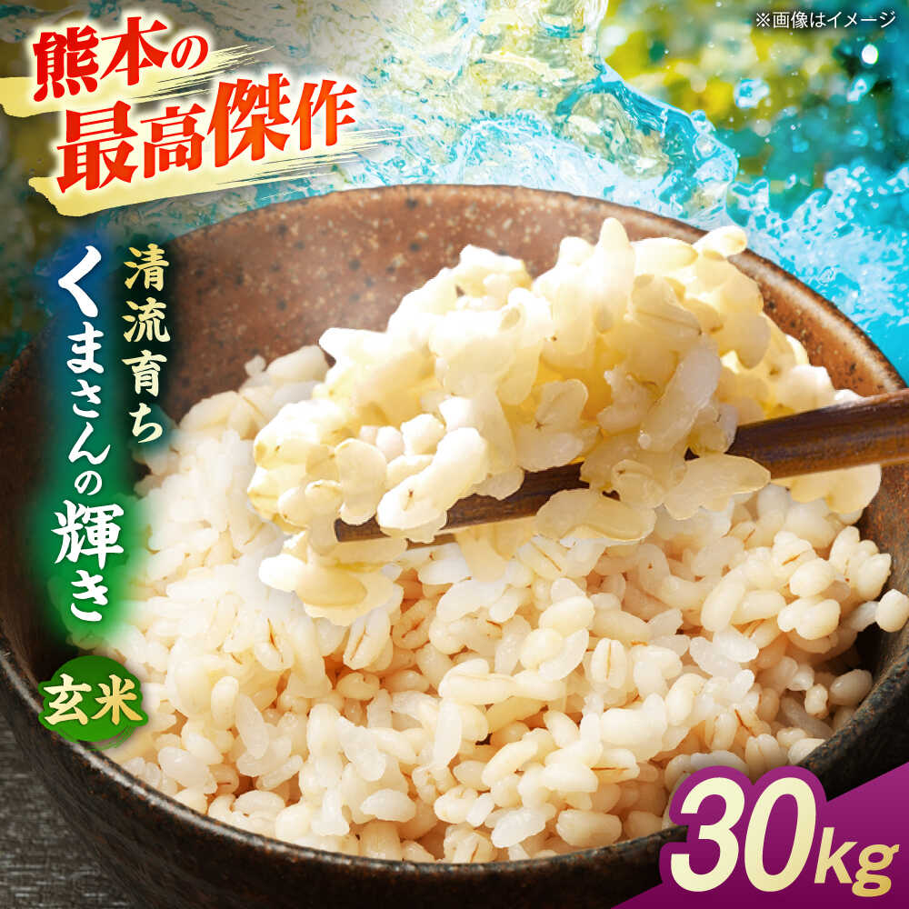 【ふるさと納税】【先行予約】くまさんの輝き 30kg 玄米 山鹿市産【奥村果実園】[ZFK018]
