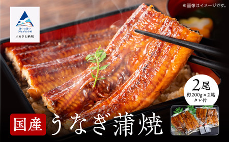 国産うなぎ蒲焼２尾 うなぎ