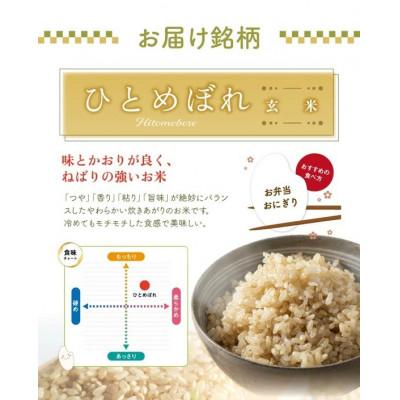 ふるさと納税 酒田市 ひとめぼれ 玄米 5kg 令和7年産米 山形県酒田産 |  | 02