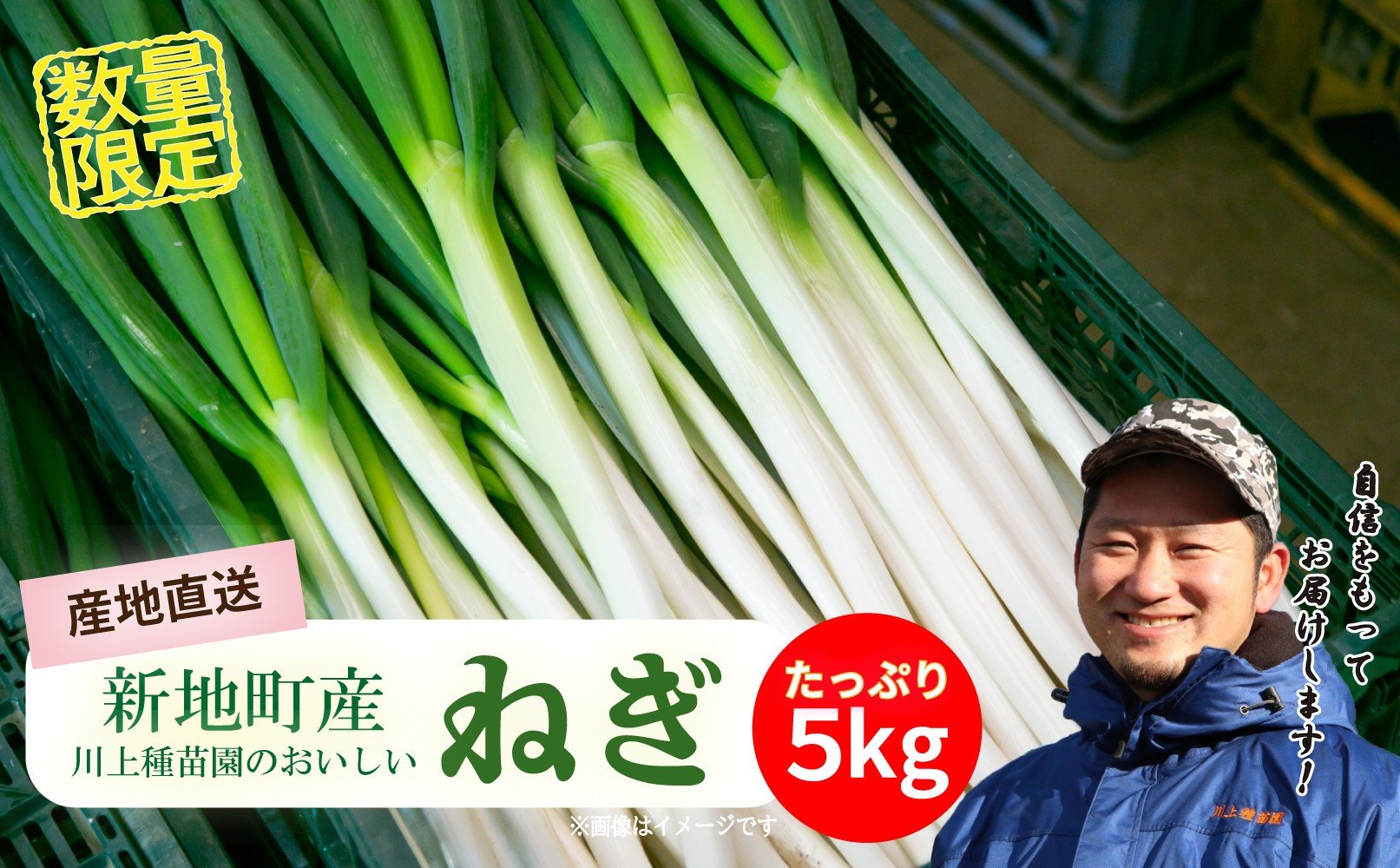 
                  長ネギ 約5kg 1箱 | 訳あり 野菜 やさい 食品 人気 おすすめ 送料無料 ねぎ ネギ 葱 長ねぎ お取り寄せ 福島県 新地町 白ねぎ 鍋 冷凍保存 おかず お徳用 甘い おすそわけ  家庭用 贈答用
                