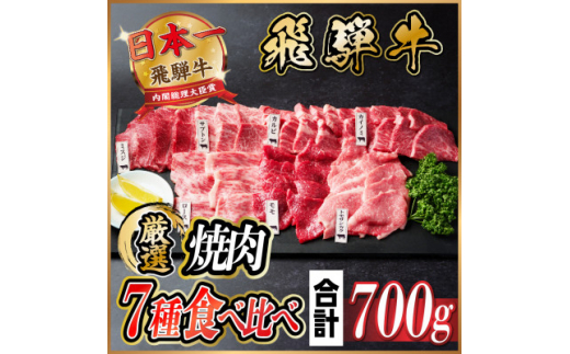 飛騨牛　焼肉7種食べ比べ(カルビ・トモサンカク・モモ・ロース・カイノミ・ミスジ・ザブトン)約700g【1532679】