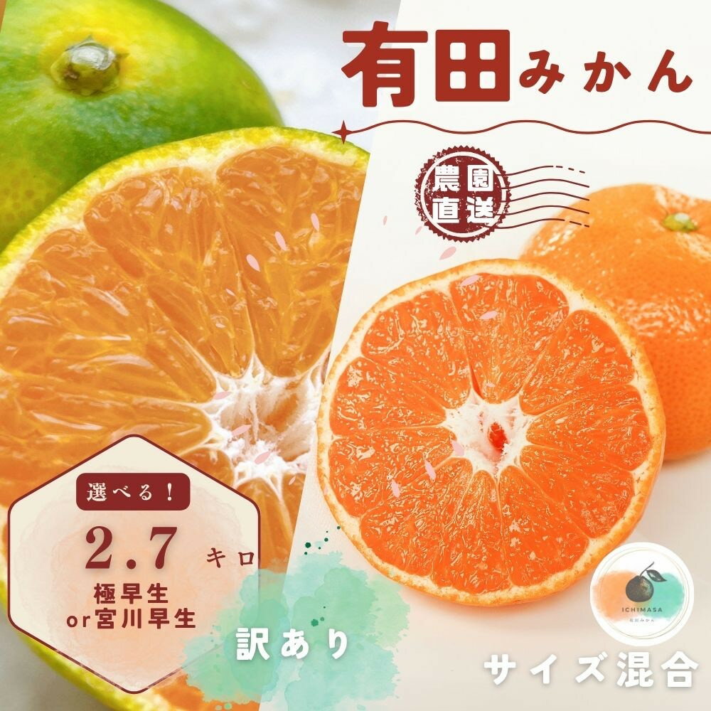 【ふるさと納税】【選べる種別・容量】【先行予約】有田みかん 極早生 or 宮川早生 2.7kg（箱込み3kg） 訳あり M～2Lサイズ 混合 | 柑橘 フルーツ 果物 くだもの 食品 訳あり わけあり 人気 おすすめ 送料無料 産地直送