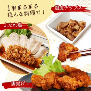 朝じめ本地鶏 京都奥丹波が育む 黒峰シャモ 1羽丸ごとセット / 鶏肉 地鶏 国産 綾部市 / 株式会社For youふぁーむ［BSCA005］