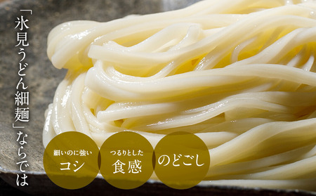 海津屋　氷見うどん細麺5本・つゆ5袋×2（自家用）簡易箱 富山県 氷見市 乾麺 うどん