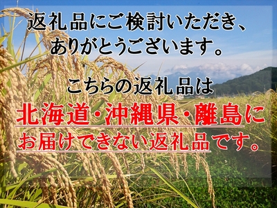 【6ヶ月定期便】長野県佐久市産 ミルキークイーン 10kg(5kg×2袋)×6ヶ月 白米 モチモチ お弁当 粘り〈出荷時期:2024年10月中旬以降~〉【 米 コメ 精米 お米 こめ おこめ 一等米