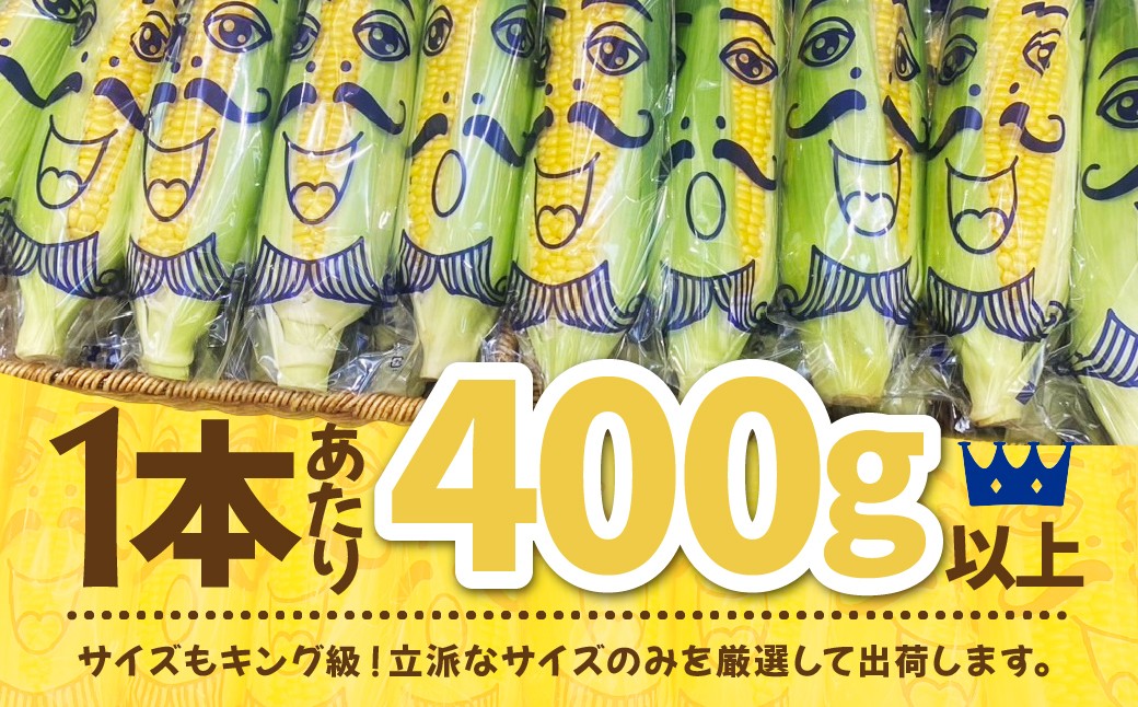 とうもろこし トウモロコシ コーン 野菜 やさい ヤサイ 夏野菜 玉蜀黍 朝採れ 朝どれ  バーベキュー BBQ 旬 新鮮