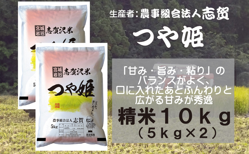 【令和7年度産新米】米 つや姫 10kg (5kg×2) 志賀沢米 岩沼産 お米 白米 精米 ブランド米 単一原料米 5キロ 10キロ こめ コメ おこめ ご飯 ライス つやひめ 宮城県産つや姫 東北 宮城県産 宮城米 グルタミン酸 アスパラギン酸 宮城 宮城県 岩沼市