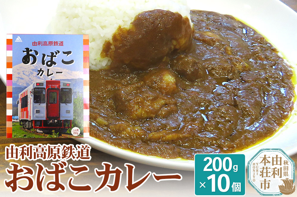 由利高原鉄道 おばこカレー 中辛 200g×10個セット|08_ytd-151001