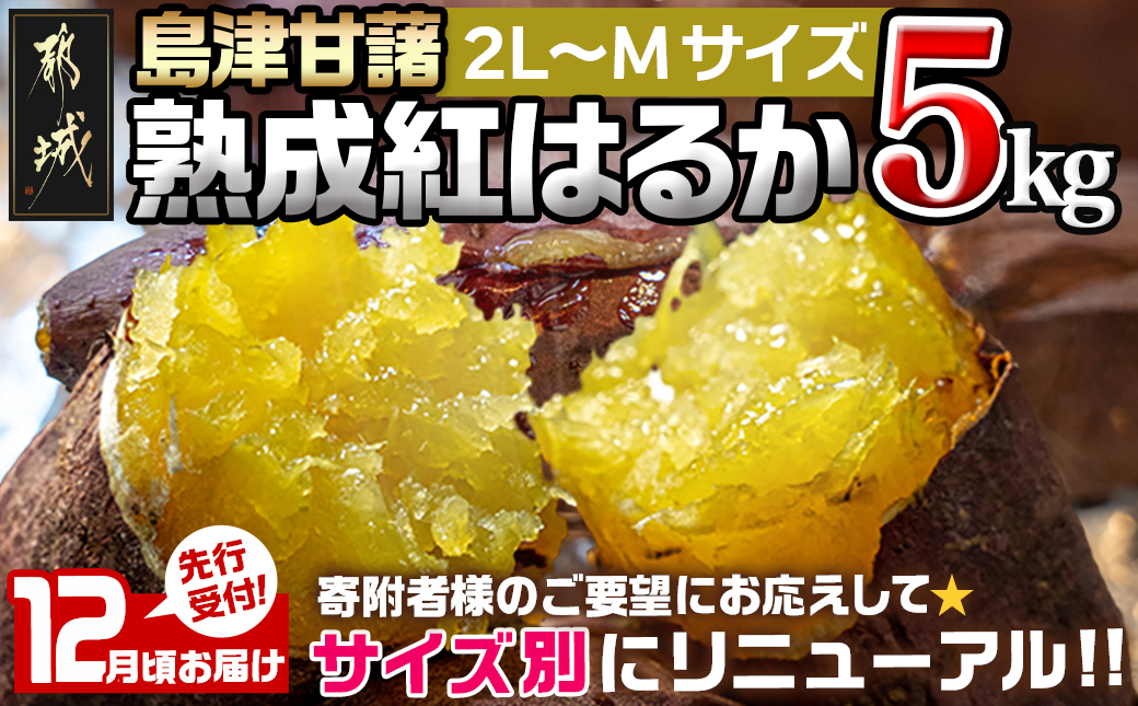 先行受付!【12月お届け】島津甘藷　熟成紅はるか 5kg(2L～M)_LD-A701-12