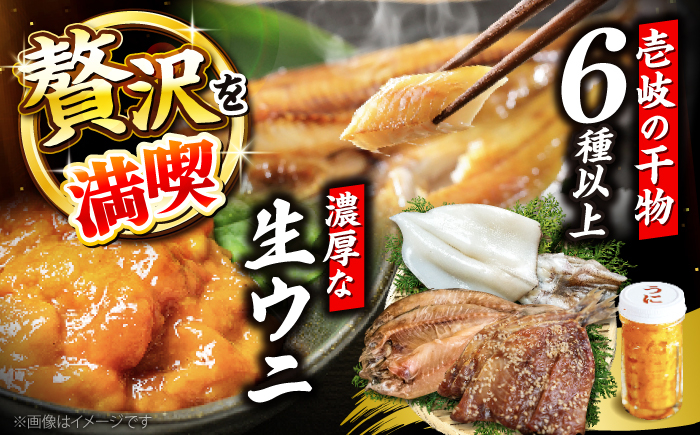 
            旬のイカ一夜干し2枚＋あじみりん＋あじの干物＋いわしみりん＋旬の干物（かます＋鯛＋いさき＋かさご＋あかはた＋アコウ＋ムツなど）＋うに60g 《壱岐市》【合同会社塚元】 [JDR028]
          