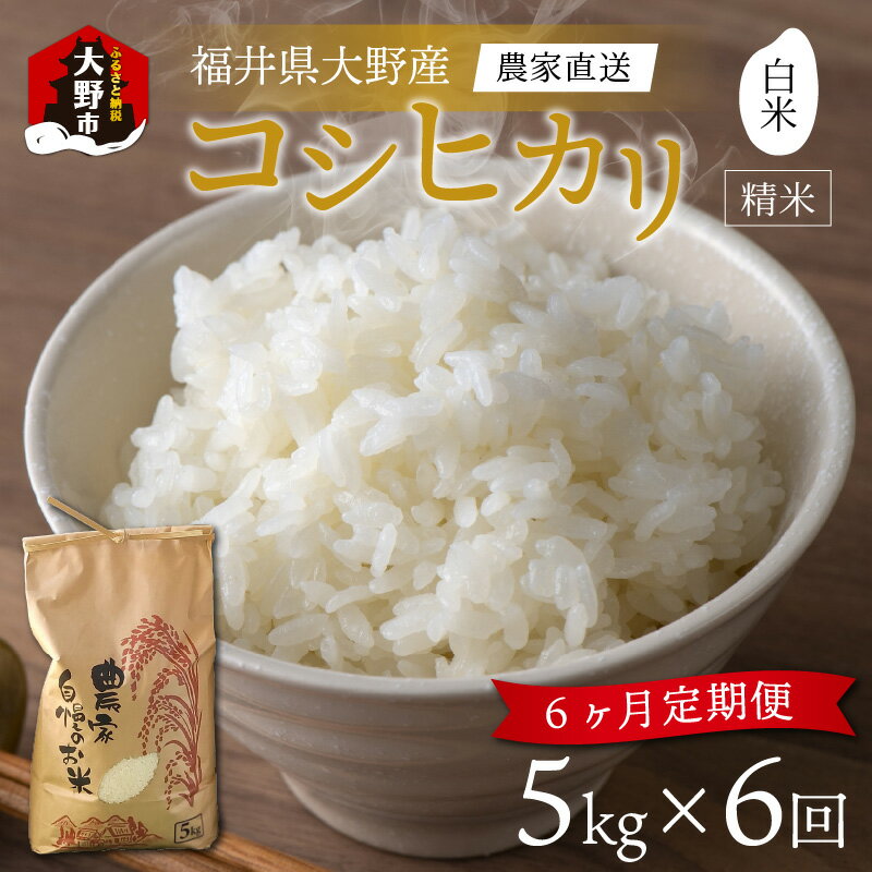 【ふるさと納税】【令和7年産 新米】【6ヶ月定期便】福井県大野市産 コシヒカリ 白米 精米 5kg 農家直送 [D-013001]