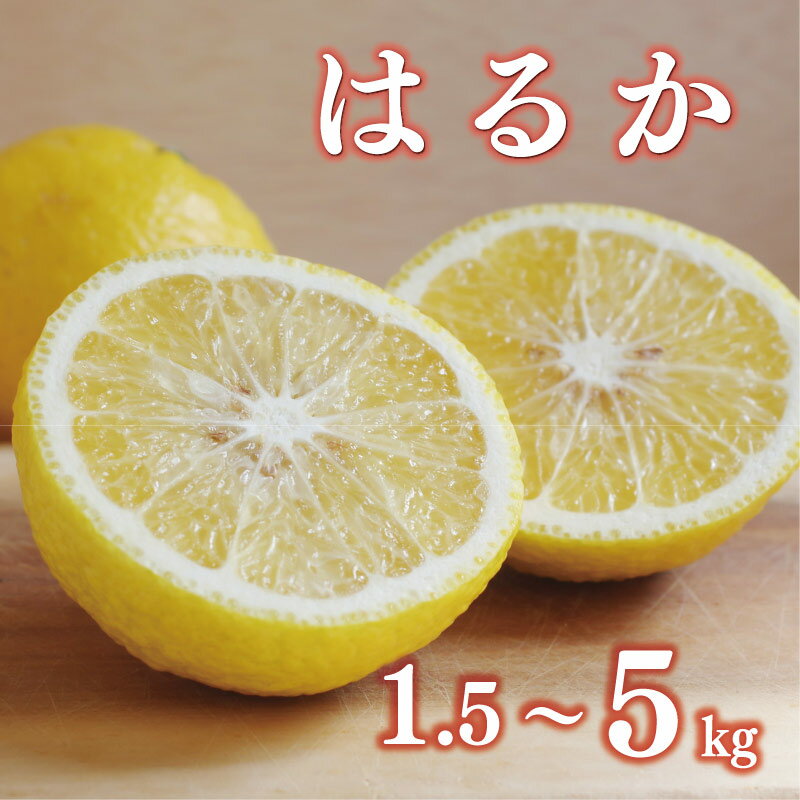 【ふるさと納税】 数量限定 先行予約 選べる 規格 はるか 1.5kg 3kg 5kg 訳あり 5000円 9000円 通常品 7000円 12000円 みかん mikan 蜜柑 ミカン 国産 期間限定 特産品 フルーツ 果物 柑橘 わけあり 人気 甘い おいしい あいなんマザーズ 愛南町 愛媛県
