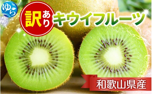 家庭用 キウイ フルーツ1kg+250g（傷み補償分） / キウイフルーツ 訳あり 和歌山 ※2025年11月中旬～2026年6月下旬に順次発送 ※北海道・沖縄・離島への配送不可 【ikd037D】