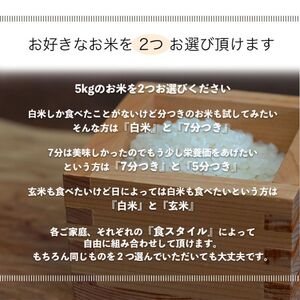 【選べる精米率】 令和7年産 産 コシヒカリ 10kg 5kg 令和7年産 白米 5kg×2袋