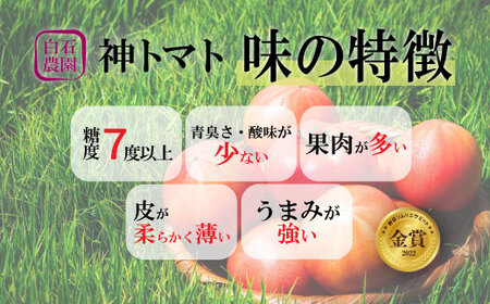 神トマト3K箱 HOKY001 | 「ザ！鉄腕！DASH！！」で紹介！ |