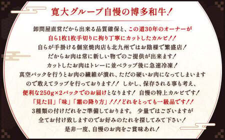 博多和牛 特上カルビ 約500g（約250g×2パック） カルビ 特上カルビ 牛肉 肉 博多和牛 付けダレ 冷凍 福岡県産
