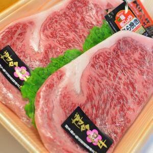 博多和牛A5～A4 ロースステーキ200g×2枚(合計400g)　ソース・塩胡椒付【化粧箱入】