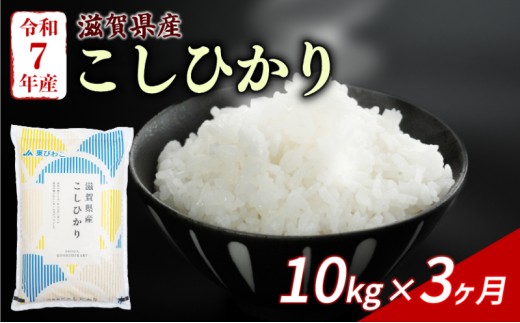 こしひかり 10kg (5kg×2) 3回定期便 令和7年産 定期便 米 精米 こめ コメ お米 ご飯 米 コシヒカリ 米定期便 3か月定期便 3ヶ月定期便 3回 3ヶ月 3か月 滋賀 彦根
