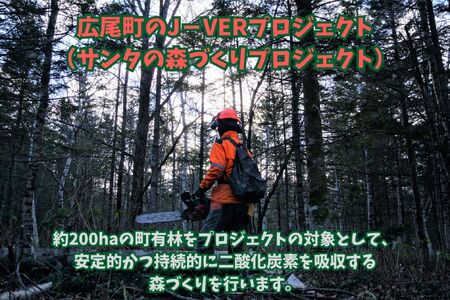広尾町Ｊ-クレジットCO2削減量　1t【Ｊクレジット　Ｊ－ＶＥＲ　カーボンオフセット　二酸化炭素　排出削減　環境保護　環境保全　森林環境　森林保全　エコ　二酸化炭素吸収　温室効果ガス削減　北海道　ふる