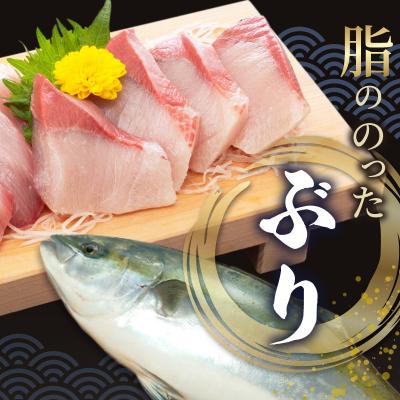 ふるさと納税 天草市 漁師の沖めしぶり(70g)×5袋_S006-013 |  | 01