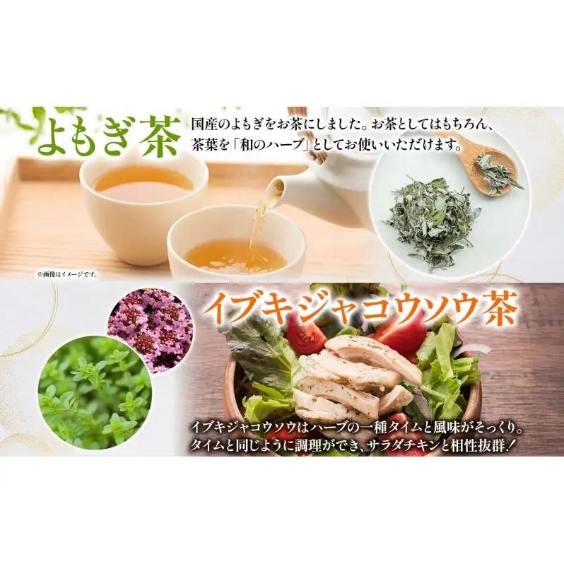 野草調味料セット よもぎ塩 60g 1本 よもぎ茶 2g イブキジャコウソウ茶 12g 各1袋 野草 ヨモギ 蓬 伊吹よもぎイブキジャコウソウ 和のハーブ 塩 調味料 詰め合わせ 合同会社いびはる商舎