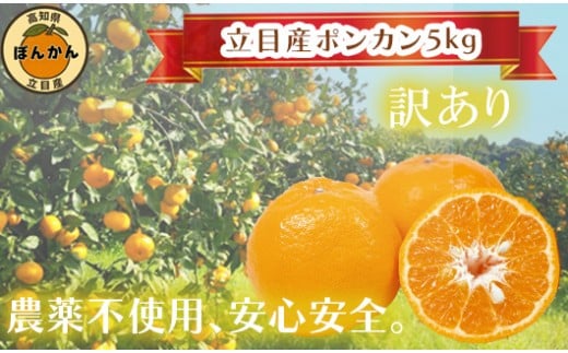 【 早期予約開始 】 ポンカン 訳あり 5kg 2026年 1月下旬より順次発送 収穫分 無農薬 ブランド サイズ混合 家庭用 立目産ぽんかん 柑橘 みかん 高知県 須崎市 MO004