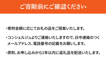 広島県江田島市 コンシェルジュ 50万円 コンシェルジュ[XZZ003]