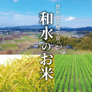 こめ屋オリジナルブレンド 菊池川流域米 10kg | 熊本県 和水町 くまもと なごみまち なごみ 複数原料米 ブレンド米 菊池川