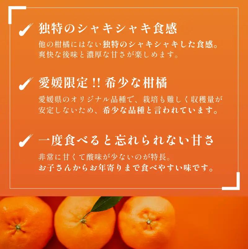 【数量限定】【先行予約】マルハ果樹園 甘平 4L～2L 8～12玉