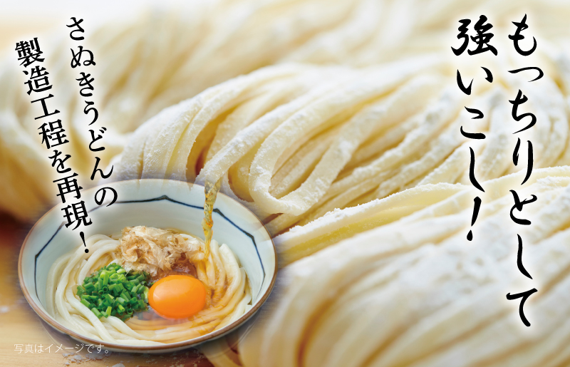 【スピード発送】麺名人 さぬきうどん 48食【個包装 冷凍 惣菜 麺 簡単調理 一人暮らし】 099H2510