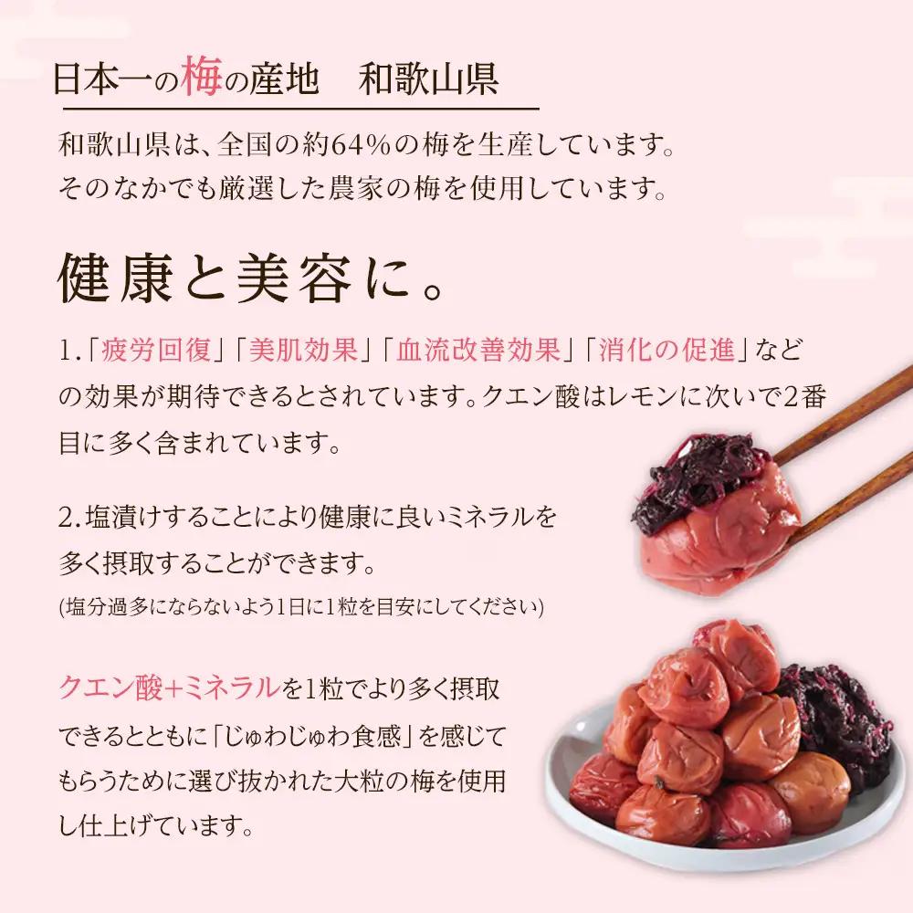 紀州南高梅 紫蘇梅 350g×2 塩分15％ [定期便 毎月発送・全3回]