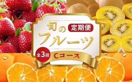 旬のフルーツ 定期便 3回 Cコース フルーツ 定期便