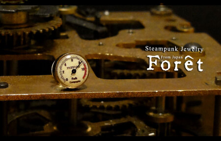 Steampunk スチームパンク メーターピアス ジュエリー