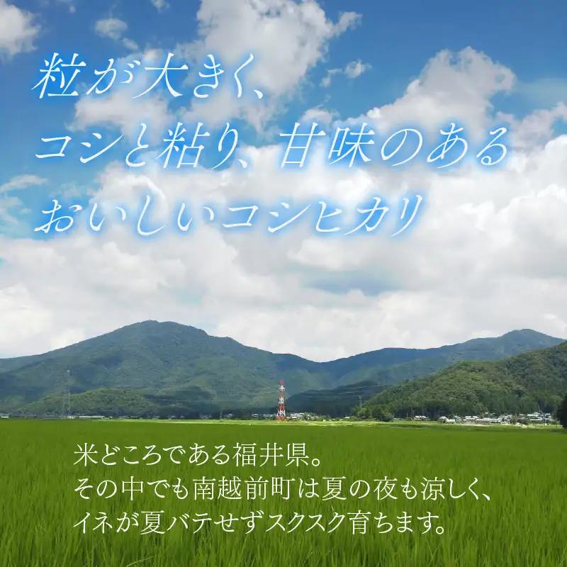 【 先行予約 】 令和8年産 特別栽培米 コシヒカリ 精米 9kg 【2026年10月末より順次発送開始予定】米