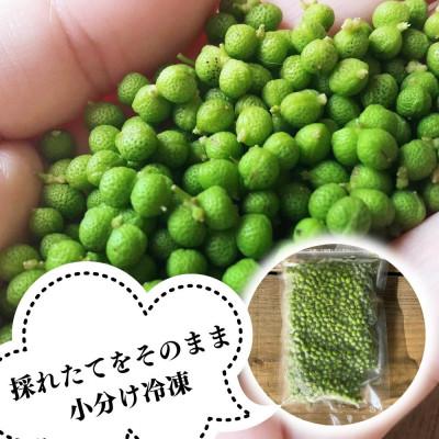 ふるさと納税 有田川町 冷凍山椒 凍ってんじゃ ぶどう山椒 500g ( 100g × 5袋 ) 和歌山県産 産地直送 |  | 01
