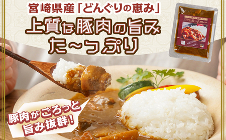 トプカ☆どんぐりの恵みポークカレー5食セット※ポスト投函_LD-J903_(都城市) カレー専門店 手づくり ポークカレー レトルト ポスト投函