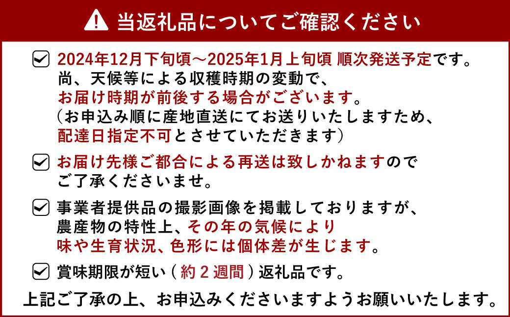 山口さん家のスイートスプリング 約5kg 【12月下旬から2025年1月上旬発送予定】