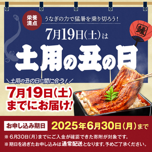 2870 【先行予約】【数量限定】鹿児島県大隅産うなぎ蒲焼4尾（740g） KN007-004-02 数量限定 鹿屋市県大隅産うなぎ蒲  大隅地区養まん漁業協同組合 ふるさと納税 鹿児島 鹿屋市 おす