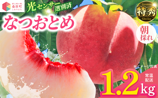 
                  もも【なつおとめ・2027年産先行予約】特秀1.2kg　桑折町産　JAふくしま未来　桃 ／ もも モモ 果物 フルーツ 旬 甘い 甘み ジューシー 果肉 果汁 新鮮 フレッシュ デザート おいしい 産地直送 桑折 こおり こおりまち 福島県 特産品 献上桃の郷 【07301-0226】
                