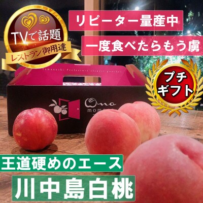 《王道硬めのエース川中島白桃》桃グランプリ銅賞＆4年連続TV出演話題ブランド2025年8月上旬発送【配送不可地域：離島・北海道・沖縄県・中国・四国・九州】