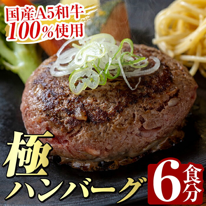 【ふるさと納税】生食感ハンバーグ！やまさきの焼肉A5ランク極ハンバーグ150g×6袋(合計900g)国産 肉 牛 牛肉 総菜 冷凍ハンバーグ おかず 簡単 冷凍 個包装 小分け 一人暮らし 牛100%【やまさき】