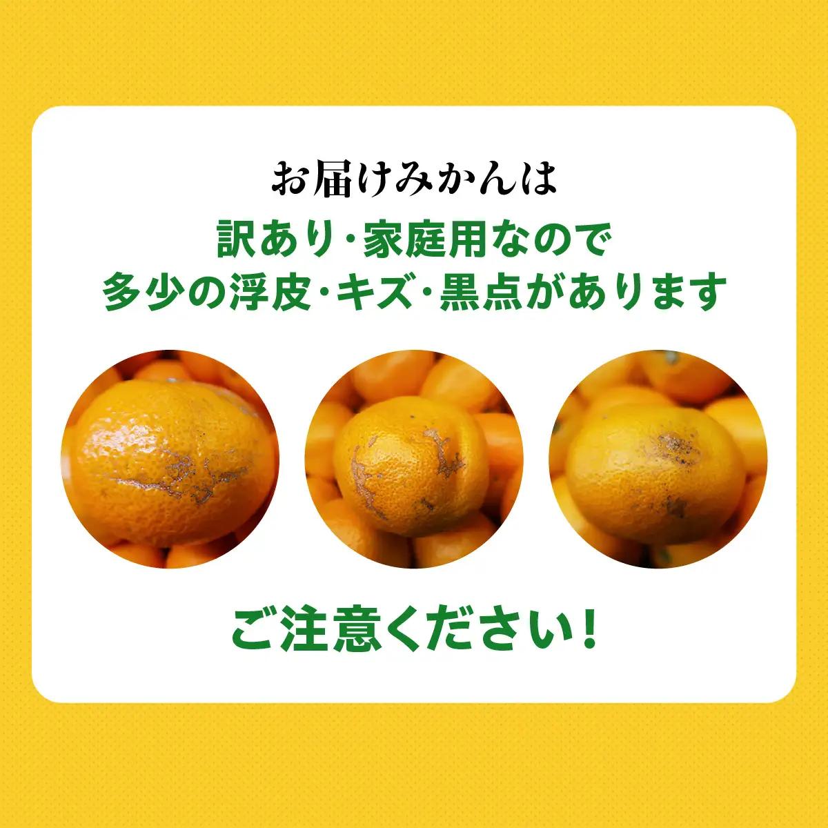 【先行受付】【訳あり】みさき果樹園の不知火5kg【A21-62】YWTBC043