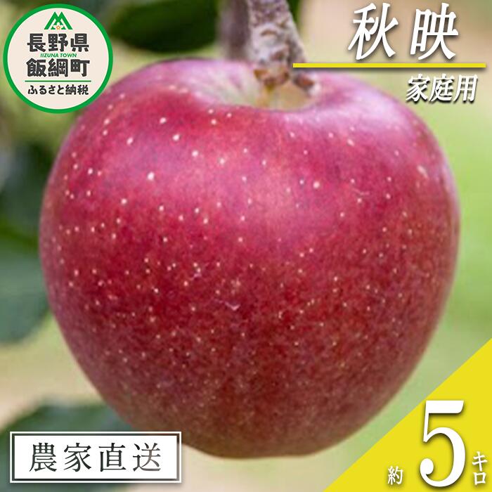【ふるさと納税】 りんご 秋映 家庭用 5kg 丸山りんご園 沖縄県への配送不可 令和7年度収穫分 長野県 飯綱町 〔 信州 果物 フルーツ リンゴ 林檎 長野 12000円 予約 農家直送 〕発送時期：2025年10月上旬〜2025年10月下旬 {**}