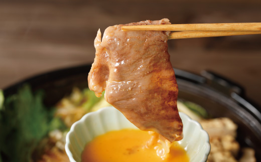 6回 定期便 牛・豚・鶏が月替わりで届く！肉づくし定期便 国産 高知 四万十 四万十市 鶏肉 チキン 肉 もも肉 四万十鶏 しまんと グルメ 四万十牛 牛肉 ビーフ サーロイン ロース ローストチキン